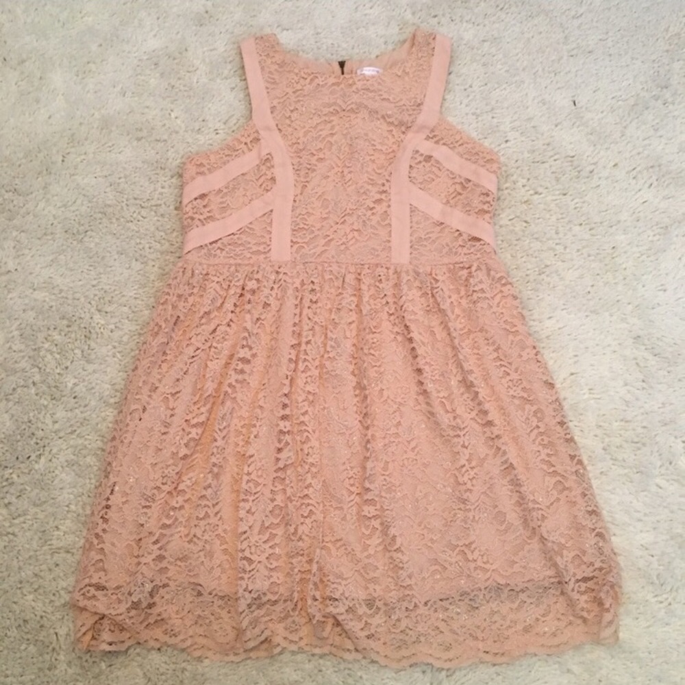 Xhilaration Blush Zip-Back Lace Dress XL NWT!